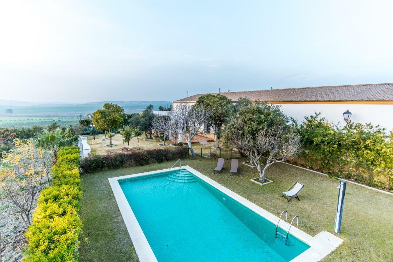 Vivienda Rural Olivar De San Telmo أركوس ديلا فرونتيرا المظهر الخارجي الصورة