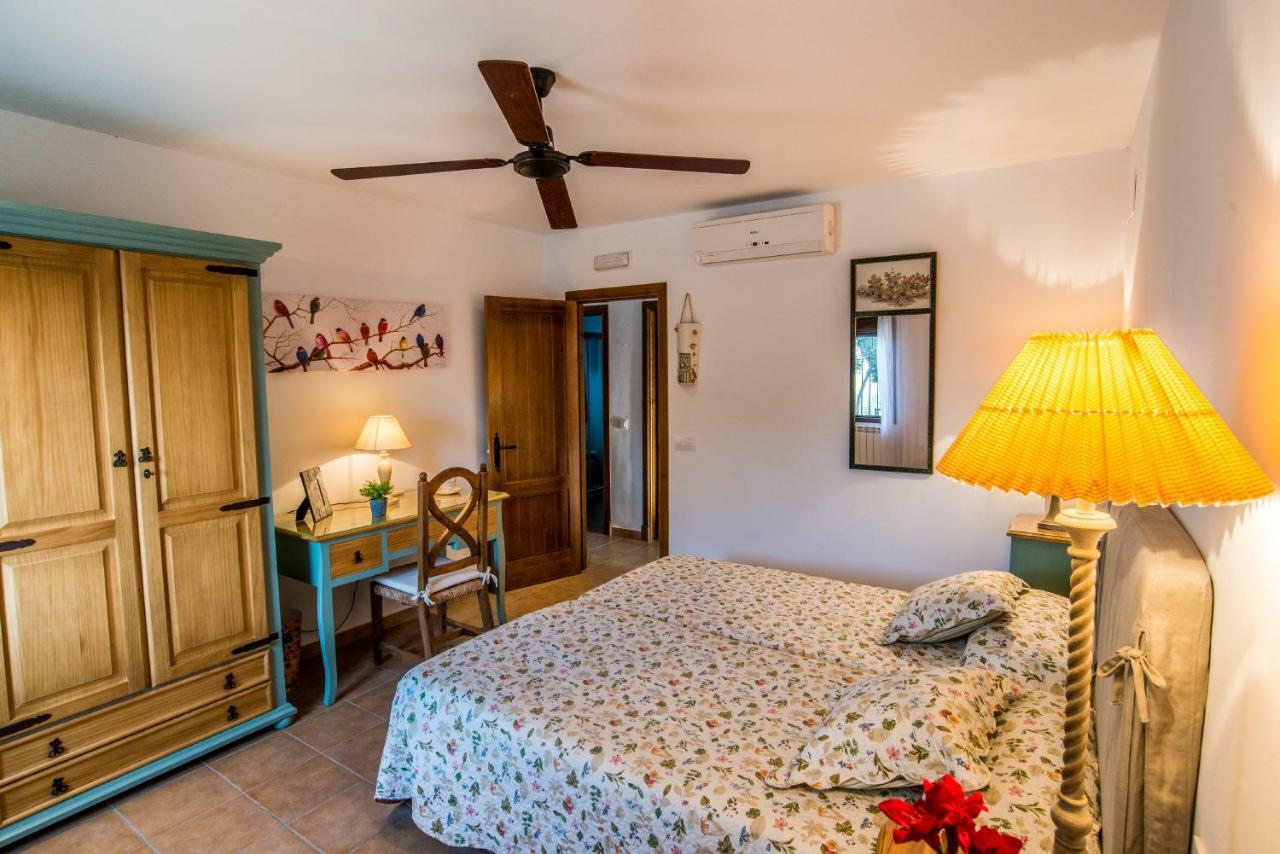 Vivienda Rural Olivar De San Telmo أركوس ديلا فرونتيرا المظهر الخارجي الصورة