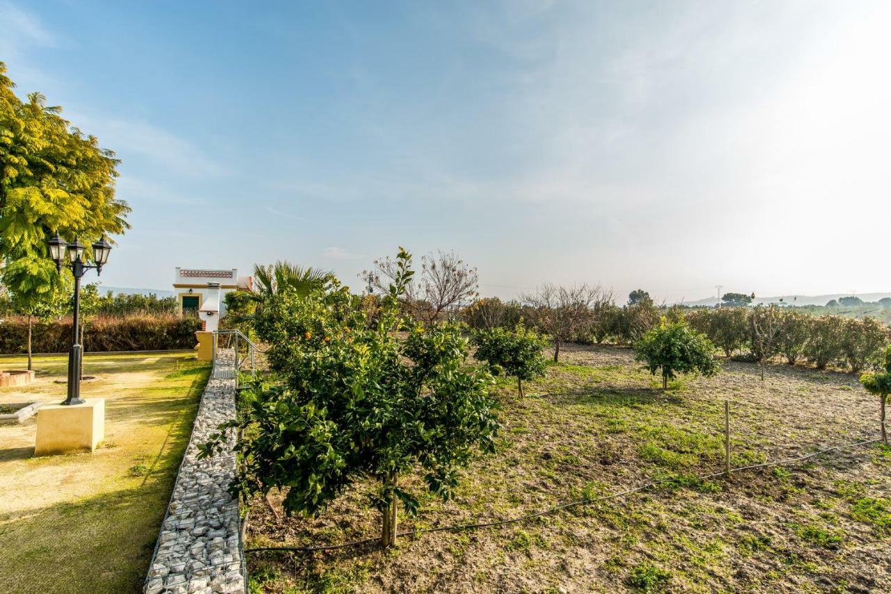 Vivienda Rural Olivar De San Telmo أركوس ديلا فرونتيرا المظهر الخارجي الصورة