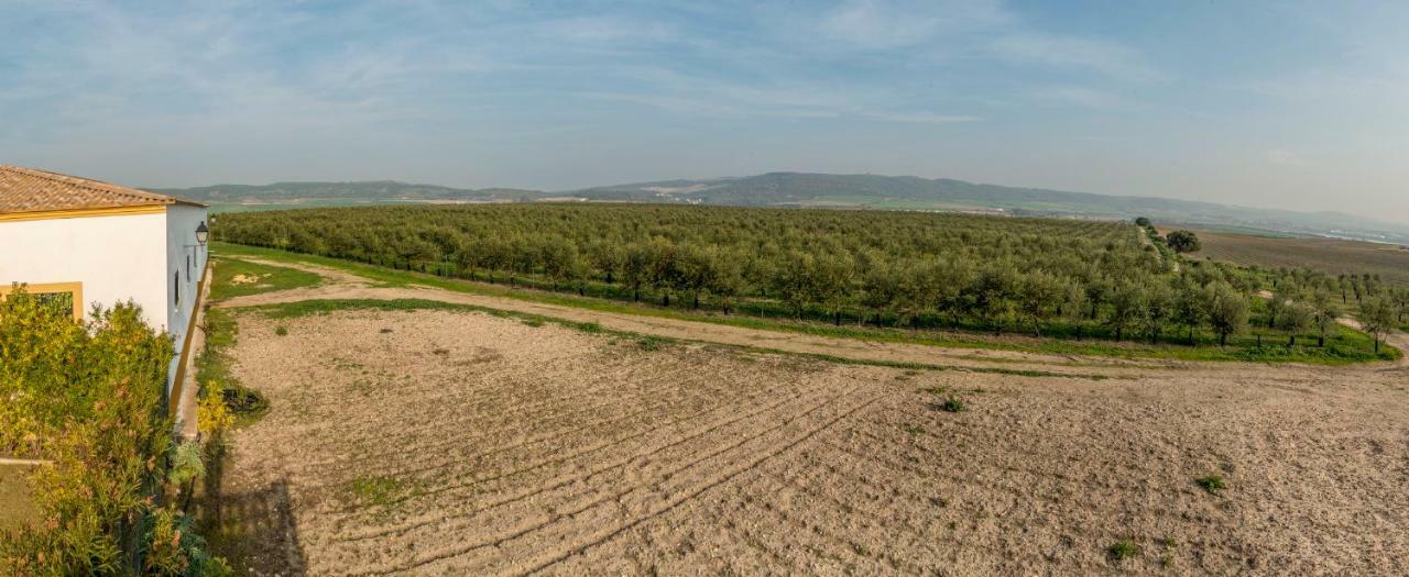 Vivienda Rural Olivar De San Telmo أركوس ديلا فرونتيرا المظهر الخارجي الصورة