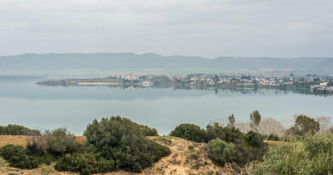 Vivienda Rural Olivar De San Telmo أركوس ديلا فرونتيرا المظهر الخارجي الصورة