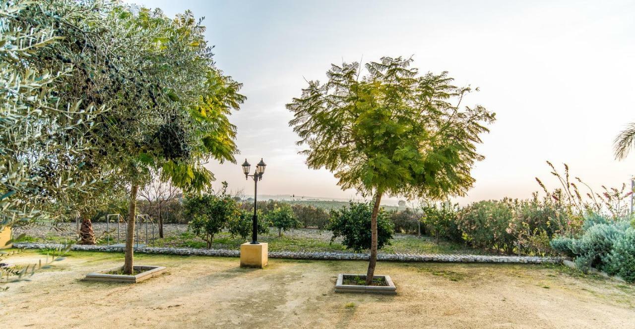 Vivienda Rural Olivar De San Telmo أركوس ديلا فرونتيرا المظهر الخارجي الصورة